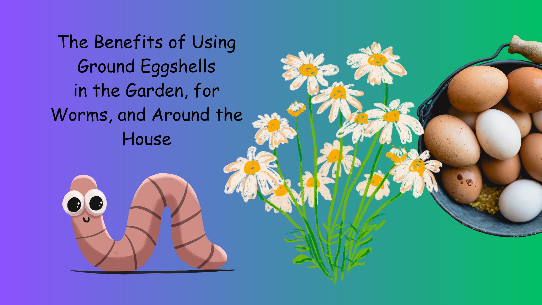 Benefits of Using Ground Eggshells
